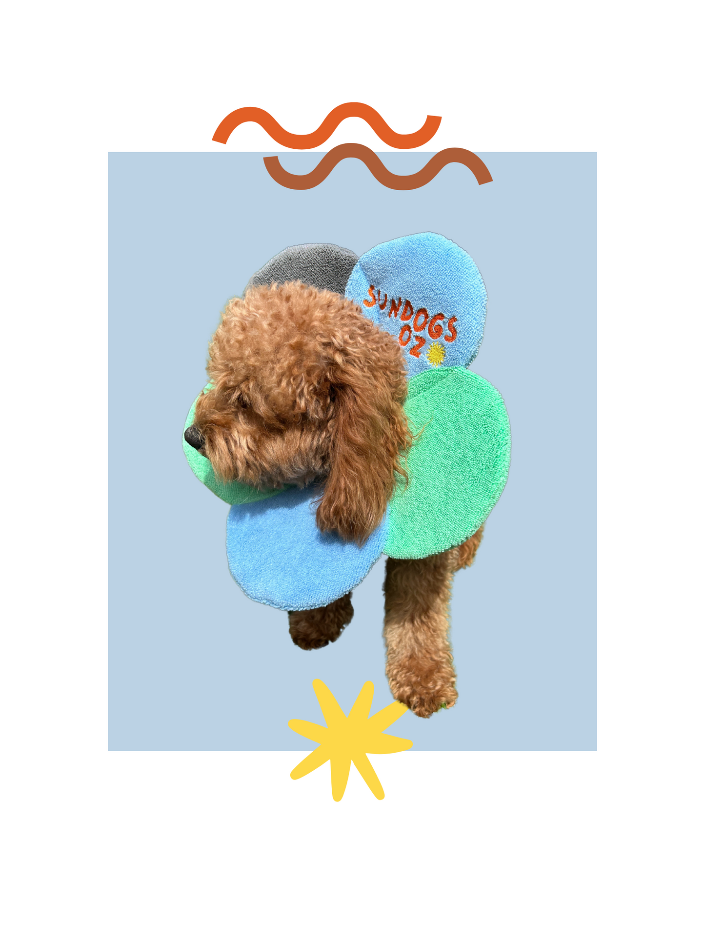Dog Recovery Collar