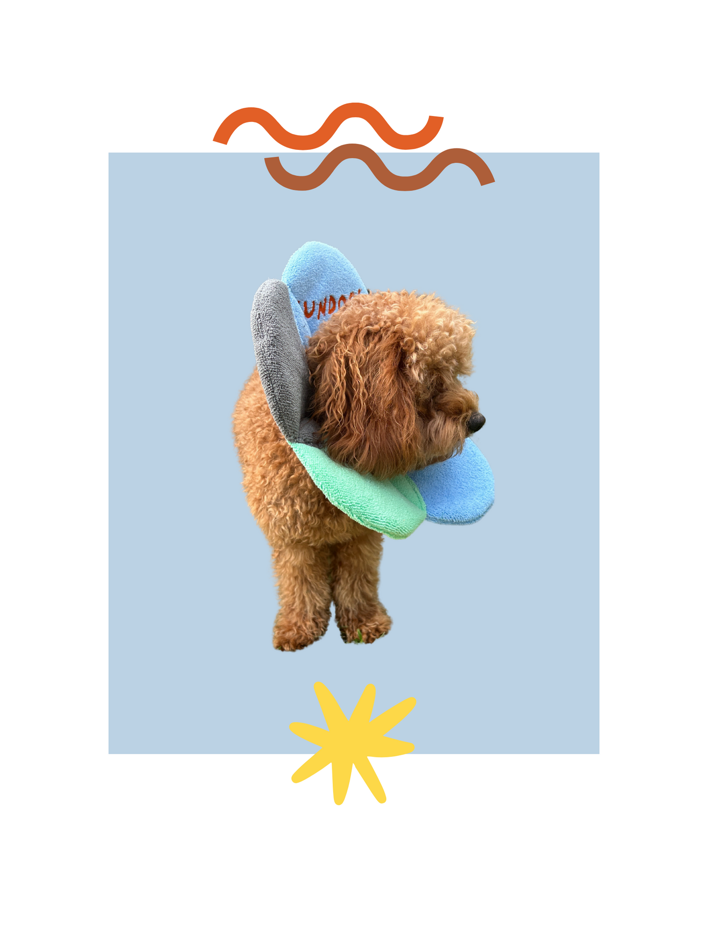 Dog Recovery Collar