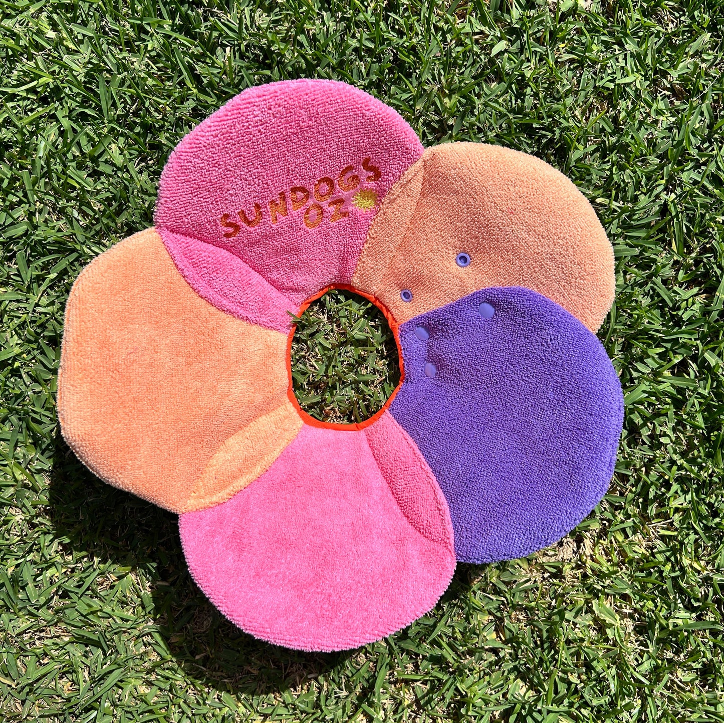 Dog Recovery Collar