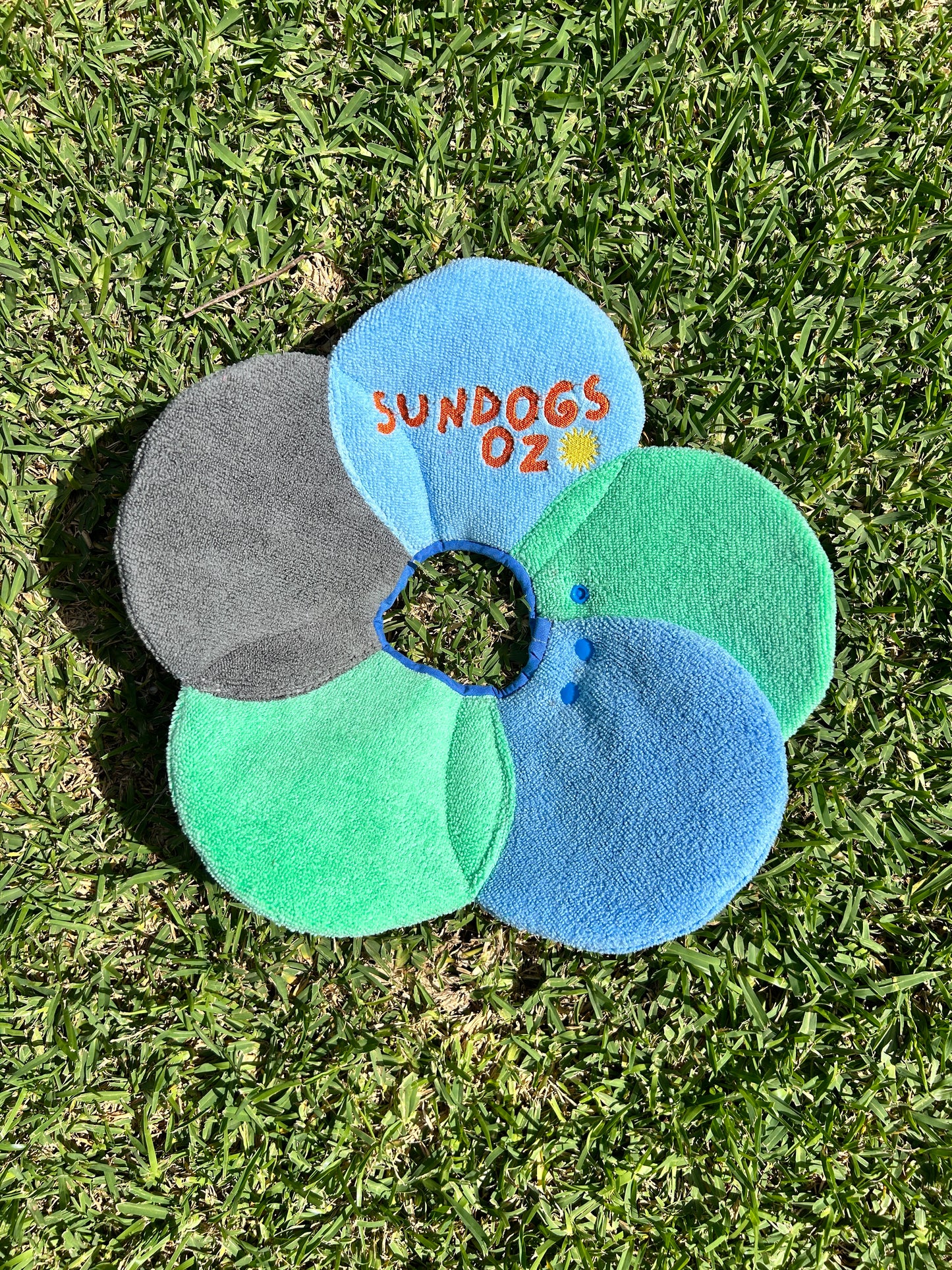 Dog Recovery Collar