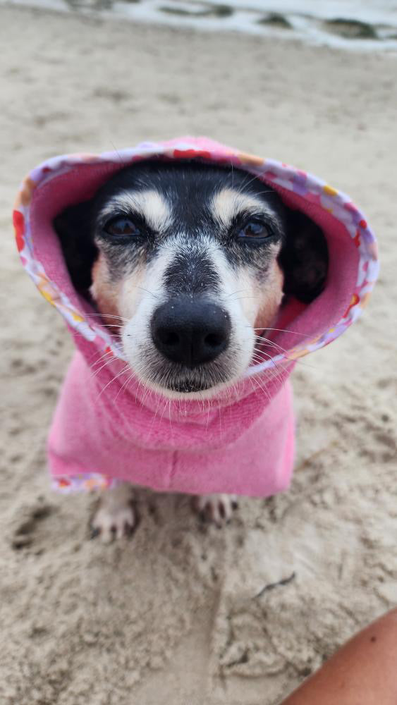 Dog Beach towel and drying coat