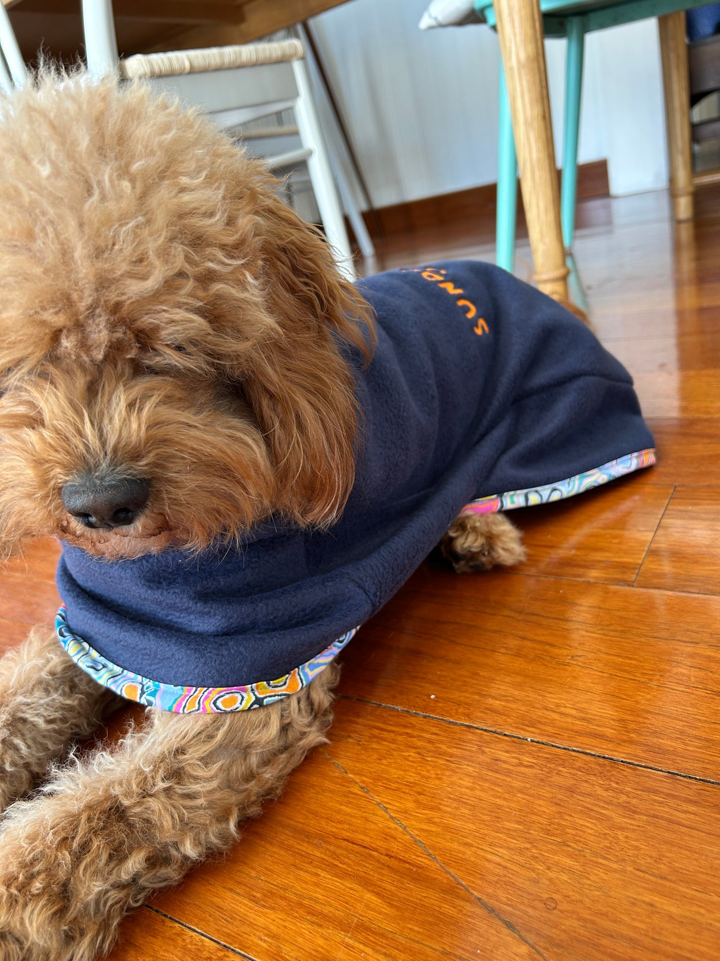 The Polar Coat |Winter Blanket Coat - Dog Winter Coat| XSMALL & SMALL